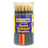 30-canis 0021196051683 Creativity Street Plastic Handle Colossal Paint Brush Assorted