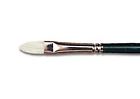 0053774000000 Winsor Newton Winton Hog Brush Filbert 094376870442
