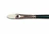 5976702 0053775000000 Winsor Newton Winton Hog Brush Filbert 094376870459