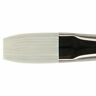 1901 0058491000000 Silver Brush Bristlon Series Flat 765179191088
