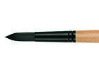 0v15943000000 Princeton Brush Catalyst Bristle Long Handle Round Sz 757063643599
