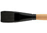 6450fs-12 0v16717000000 Princeton Brush Catalyst Bristle Short Handle Flat Shader 757063645968