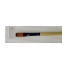 1526f  12151 Dynasty Black Gold Series Long Handled Synthetic Brushes 018376060115