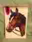1503-a Vintage Meyercord Decals Large Horse New In Package