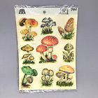 1520-d Meyercord Vintage Water Slide Decals Mushrooms Sealed Morel Toadstool