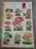 1520-e Meyercord Vintage Lithograph Decals Morel Mushrooms