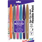 15cbp6m1 Pentel Arts Sign Pens