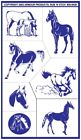 20-0459 Armour Products Rub N 085593204592