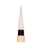 Pb2150b10 2150b10 Princeton Artist Brush Co 757063215079