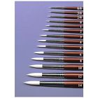 Rs220085003 220085003 Co Rs White Sable Watercolor Short Handle Round 038372171264