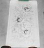 Paint-2216 2216 Tri Chem Vintage Poppies Design Liquid Embroidery Picture To