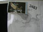 2483 Unbranded Tri-chem Swans Liquid Embroidery Picture 12x18 Inches