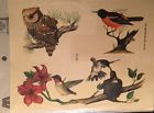297-d Meyercord Vintage Water Applied Decals Birds Hummingbird Nest Owl Oriole