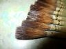 3010 French Master Brown Kazan Qui Ills Dz World Best Sign