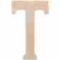 40wh-40409 Walnut Hollow T Wood Letters 18 046308404096