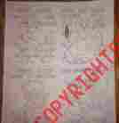 4108 Artex Kit Kitten I Owl Mouse Bunny Ready To Paint With Directions