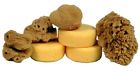 4336955190 Creative Hobbies Synthetic And Natural Silk Sponges For Painting Crafts