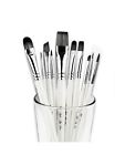 4336957895 Adis Art Pro Paint Brushes Set For Acrylic Oil Watercolor