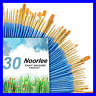 4336960689 Pack Paint Brush Set Pcs Nylon Hair Brushes 881196724556