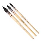 4336961295 Dainayw Watercolor Paint Brushes Round Squirrel Hair Brush 696394337831