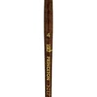 4750sc1 Princeton Artist Brush Co Neptune Watercolor Short Handle 757063475275