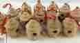 1279-967 4894429015884 Craft Essentials Lot Of 15 Wood Unfinished Birdhouse Ornaments