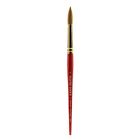Wn5181714 5181714 Winsor Newton Colart Wn Sceptre Gold Sh Round 094376862683