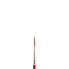 5182702 Winsor Newton Colart Sceptre Gold Sh Designer Rou 094376862768