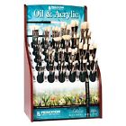 88354314479 5200d Princeton Good Chinese Bristle Oil And Acrylic Brush