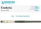 6200f-2 Princeton Art Brush Co 757063620088
