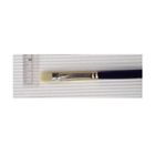 6300f4 Princeton Artist Brush Co Dakota Best Synthetic Bristle 757063630094