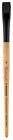 6450bs-2 Princeton Brush Catalyst Polytip Bristle Bright Shad 757063645975
