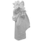 670579360197 Undisclosed 11.25 White Blank