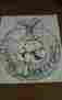 7008 Tri-chem Liquid Embroidery Picture To Paint Christmas Wreath Raccoon