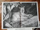 7078 Vintage Trichem Liquid Embroidery Picture To Paint Cougar