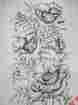 7126 Tri Chem Huge 20 X 34 English Poppies Flowers Floral Picture To Paint