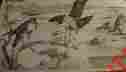 7193 Tri-chem Trichem Liquid Embroidery Picture To Paint Huge 24 X 36 Falcon Wildlife
