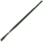 2506s-014 765179256527 Silver Brush Limited