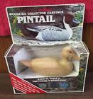 79004 Craft House Pintail Duck