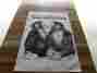 8183 Tri-chem Ready To Paint Picture Kiss Me You Fool Self-shading 18 X 24