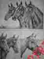 8227 Tri Chem Horse Portraits To Paint Western Cowboy Rodeo 3 Pictures Pre Shaded