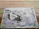 8335 Tri-chem Picture To Paint Ducks Self-shading 12 X 18 Frame Size