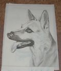 8497 Picture To Paint German Shepheard Vintage