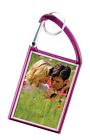 969p-single Snapins Photo Carabiner Keychain Purple 050122969037