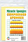 A146 Color Wheel Compressed Sponges 088107234658