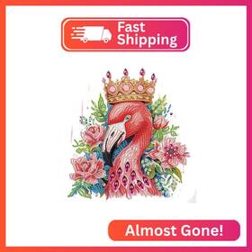 At041 Aiyuanzsh 5d Special Shape Diamond Art Kits For Beginners Painting