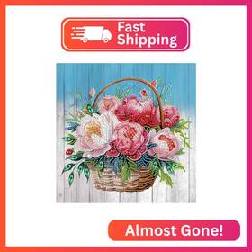 At045 Aiyuanzsh Diamond Art Painting Kits For Adults 5d Special Shape Kit