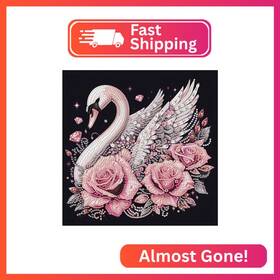 At046 Aiyuanzsh Diamond Art Painting Kits For Adults Swan 5d Special Shape Ar