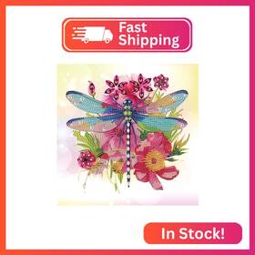 At062 Aiyuanzsh 5d Special Shape Diamond Art Kits For Beginners Painting