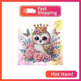 At071 Aiyuanzsh Diamond Art Painting Kits For Adults 5d Special Shape Owl Cry